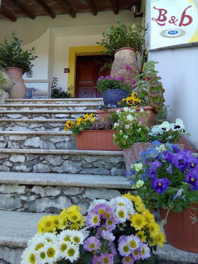 Casa D' Artista B&B Оцієрі Екстер'єр фото