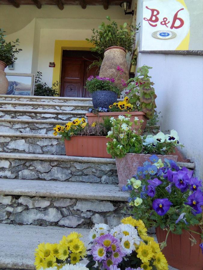 Casa D' Artista B&B Оцієрі Екстер'єр фото