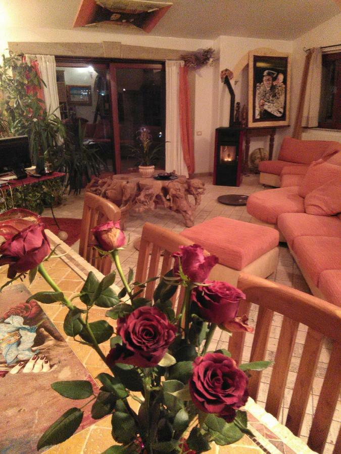 Casa D' Artista B&B Оцієрі Екстер'єр фото