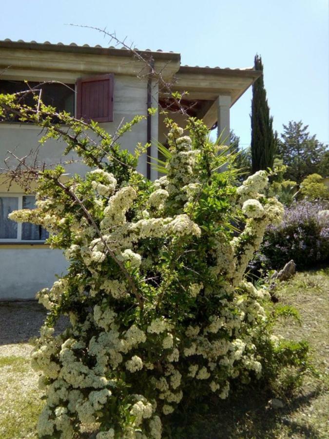Casa D' Artista B&B Оцієрі Екстер'єр фото